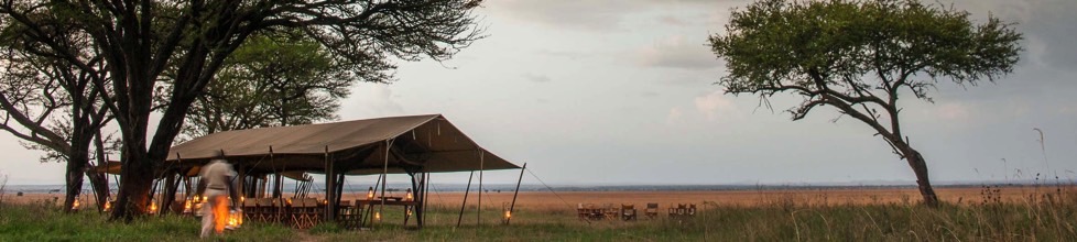 Serengeti Safari Camp
